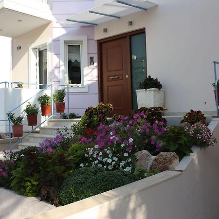 Veggie Garden Athens B&B المظهر الخارجي الصورة