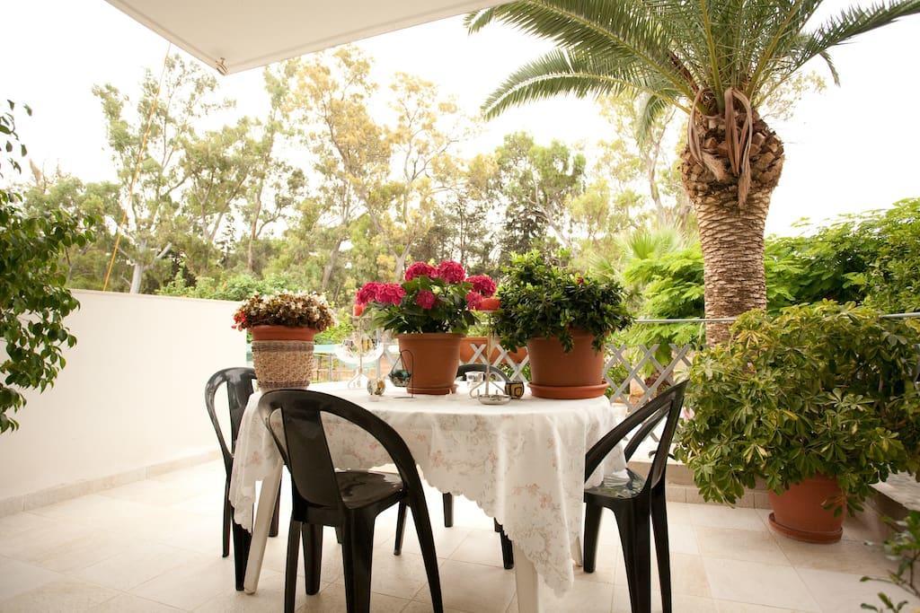 Veggie Garden Athens B&B المظهر الخارجي الصورة