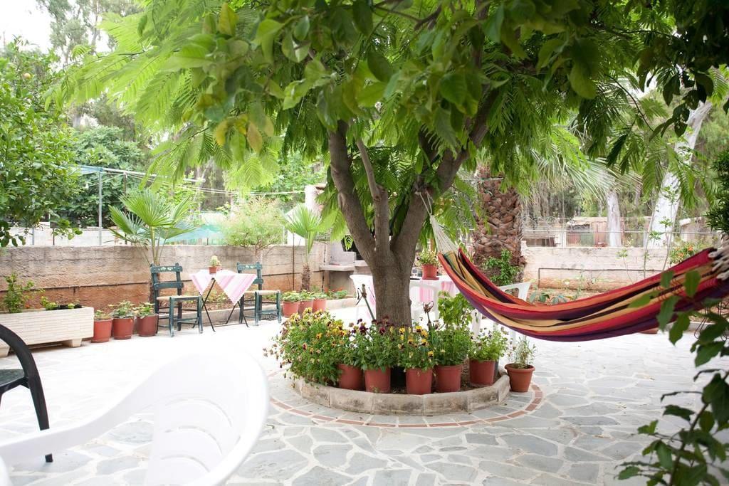 Veggie Garden Athens B&B المظهر الخارجي الصورة
