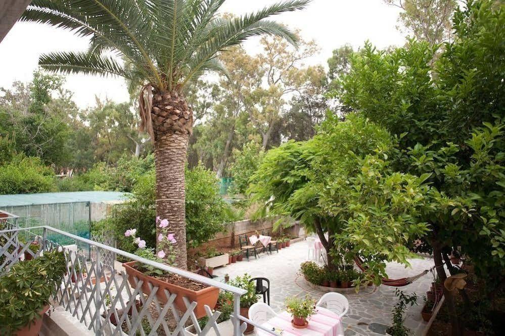 Veggie Garden Athens B&B المظهر الخارجي الصورة